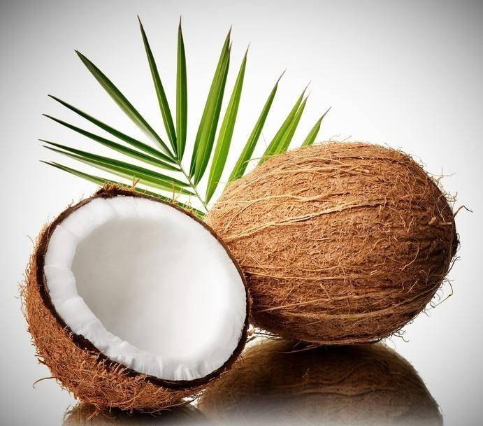 What is Coconut Charcoal Fibers?