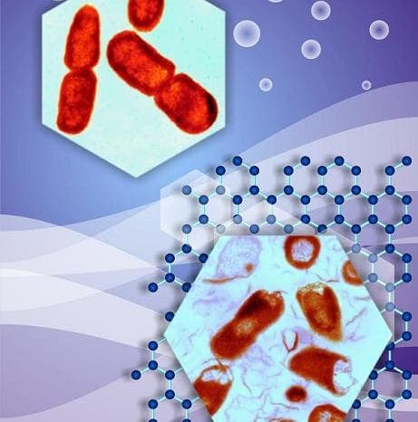 graphene bacterial (1)